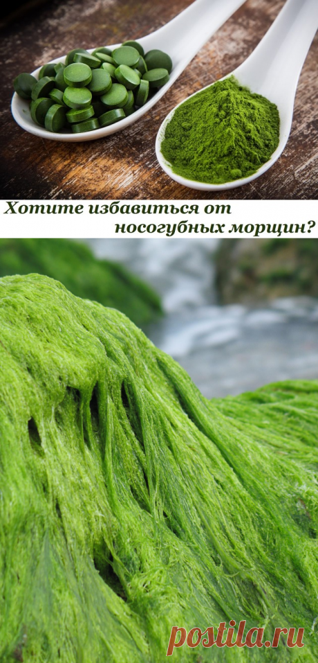 спирулина