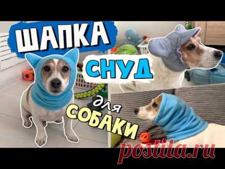 Шапка для собаки своими руками. КЛАССИЧЕСКИЙ СНУД и СНУД с УШКАМИ. Выкройка шапки для собаки
