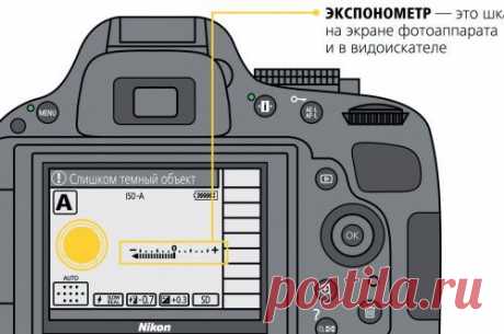 Как научиться фотографировать: пошаговая инструкция от Nikon