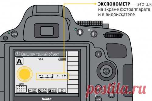 Как научиться фотографировать: пошаговая инструкция от Nikon