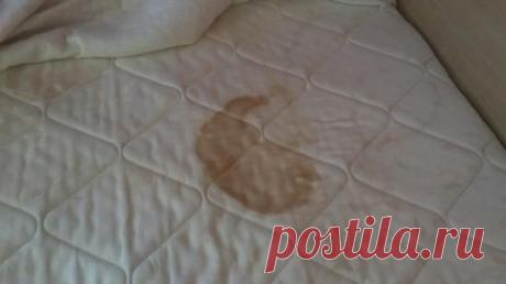 5 простейших трюков, чтобы вывести пятна с чего угодно! - Lifter