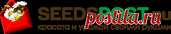Семена почтой по России в самом крупном интернет-магазине