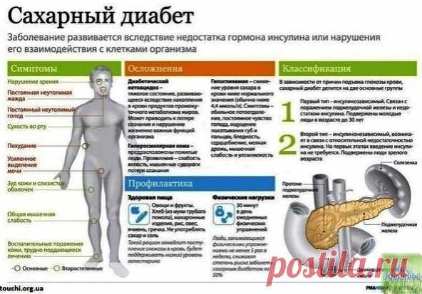 Сахарный диабет - лечение и профилактика народными средствами

1. Три белых фасолины замачиваем на ночь в 0.5 стакане холодной кипяченой воды. Утром фасоль съедаем, а воду выпиваем. Это простой, но эффективный рецепт!

2. Берем одну чайную ложечку куркумы на 1 стакан кипяченой воды. Пьем за 1 час до еды или после еды, аналогично используем корицу.
Корицу и куркуму можно чередовать через день, а с утра употреблять фасоль.

3. Взять пять плодов шиповника, измельчить его хоро...
