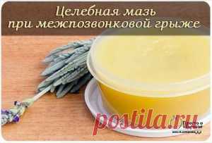Целебная мазь при межпозвонковой грыже.