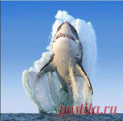 РЕДКИЙ КАДР!!!!