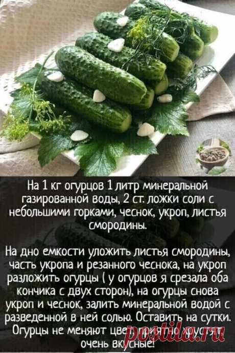 Малосольные огурчики на газированной минеральной воде🥒 Огурчики получаются просто отменные