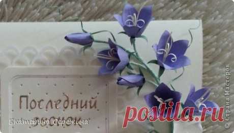 Колокольчик полевой... | Страна Мастеров