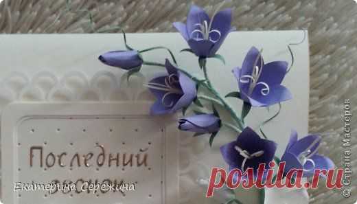 Колокольчик полевой... | Страна Мастеров