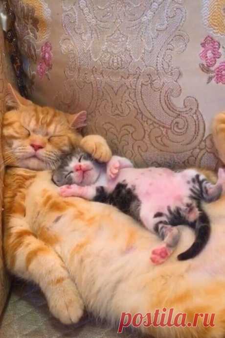 (7) Pinterest
