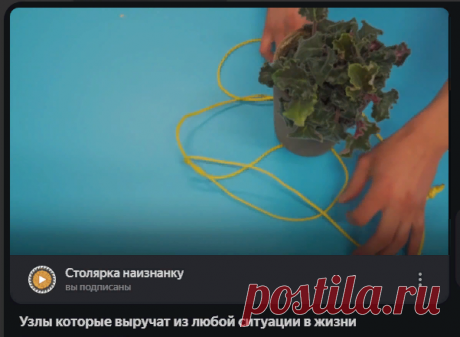 Яндекс