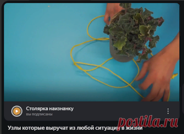 Яндекс