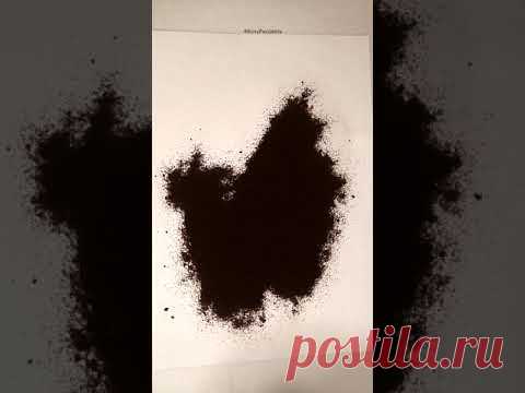 Нарисовала даму с собачкой - YouTube