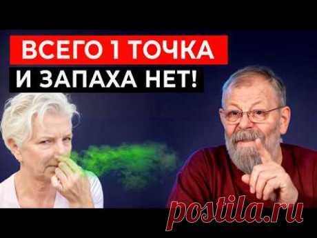 Всего 1 точка заставит желчь двигаться правильно.