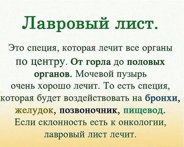 ЛАВРОВЫЙ ЛИСТ В ПОМОЩЬ 
Именно остеохондроз является причиной боли в спине в 80% случаев 
Для тех, у кого застарелый остеохондроз, лучше любых мазей из аптеки помогают средства на основе лаврового листа. 
Вот отличные рецепты: 
1) Лавровое масло. Залить стаканом оливкового масла 1 ст. ложку мелко нарезанных лавровых листьев и настаивать 15 дней в теплом месте. Лучше всего втирать масло в больные м