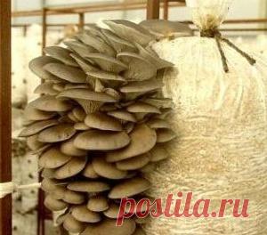 Новости - МирТесен