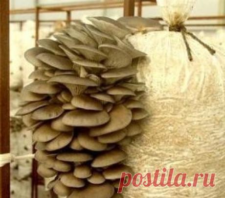 Новости - МирТесен