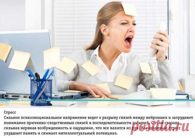 10 вещей, негативно влияющих на мозговую деятельность / Будьте здоровы