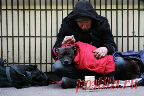 Россиянка описала одну из самых процветающих стран фразой «бомжи уже достали». Российская путешественница Марина Ершова побывала в Новой Зеландии и рассказала, что в этой стране остро стоит проблема бездомности. По словам россиянки, из-за растущей стоимости жизни многим людям недвижимость становится недоступна. «Бомжи нас здесь уже достали!» — такой фразой описала она свои впечатления.