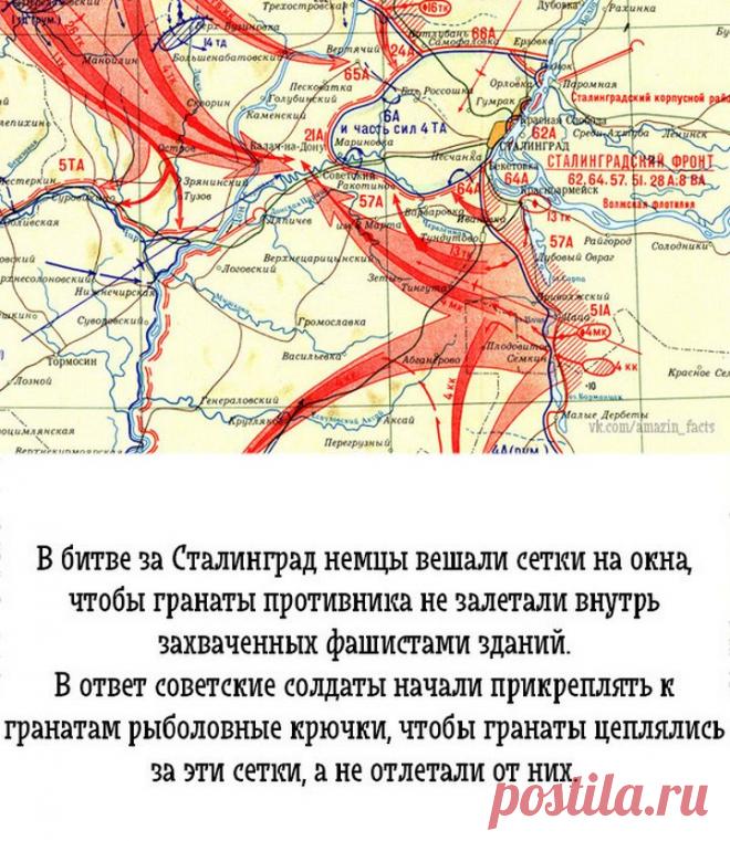 интересные факты