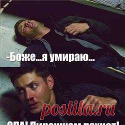 Доза хорошего юмора на сегодня