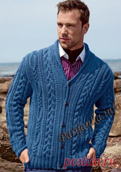 Жакет с «косами» и шалевым воротником (м) 03*177 Bergere de France №4739