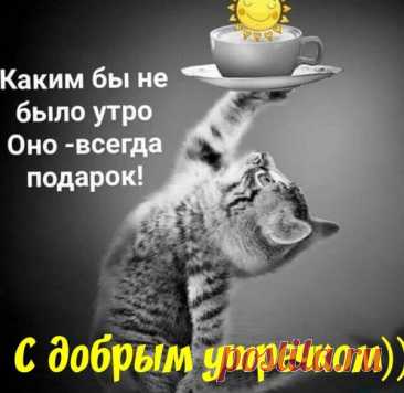 Смешные картинки Доброе утро хорошего дня прикольные с надписью прикольные 26 фото