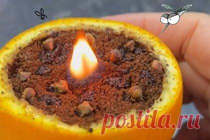 Тиктокерша показала способ избавиться от комаров с помощью свечи. Любительница натуральных косметических и санитарных средств по имени Ариба продемонстрировала на своей странице в TikTok необычный способ отогнать комаров. Ариба предложила рецепт свечи из апельсина, гвоздики, кофе и мятного масла. «Благодаря свече дом будет вкусно пахнуть и избавится от мух и комаров», — заверила она.