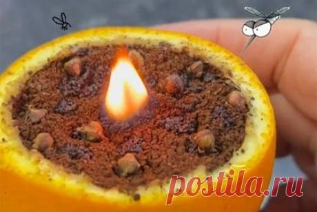 Тиктокерша показала способ избавиться от комаров с помощью свечи. Любительница натуральных косметических и санитарных средств по имени Ариба продемонстрировала на своей странице в TikTok необычный способ отогнать комаров. Ариба предложила рецепт свечи из апельсина, гвоздики, кофе и мятного масла. «Благодаря свече дом будет вкусно пахнуть и избавится от мух и комаров», — заверила она.