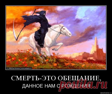 Подборка картинок №1