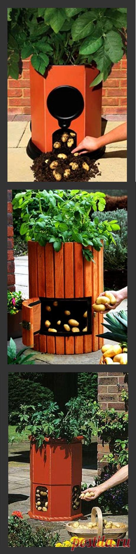 Найдено на сайте bombayoutdoors.com.