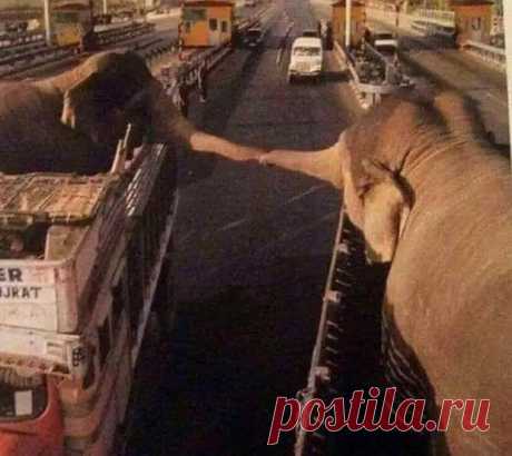 ФОТОМИГ ИСТОРИИ