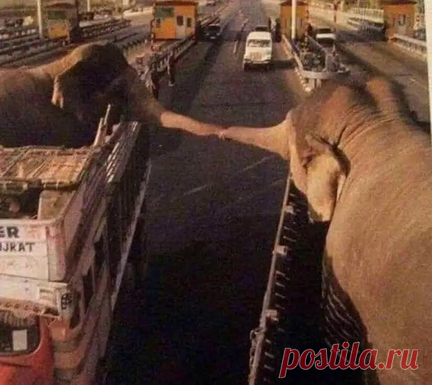 ФОТОМИГ ИСТОРИИ