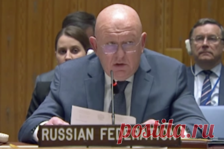 Небензя: боевики ВСУ озверели до совершения терактов почти каждую неделю. Вооруженные силы Украины обстреливают гражданскую инфраструктуру и убивают мирных россиян.