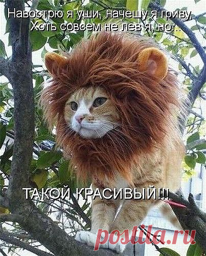 bondaren-nadejda — «7dbbcb93df3c.jpg» на Яндекс.Фотках