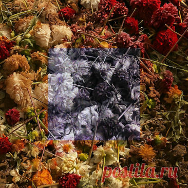 Dark Narrows - Dead Flowers (2025) 320kbps / FLAC