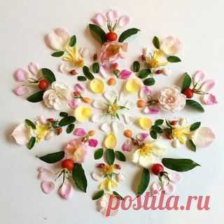 Ideas and Decor