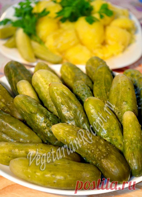 Соленые огурцы - рецепт засолки огурцов на зиму в банках без уксуса (с фото и видео) | Вегетарианские рецепты «Приготовим с любовью!»