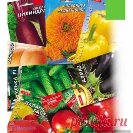 Срок годности семян: нужно ли закупать семена впрок ?