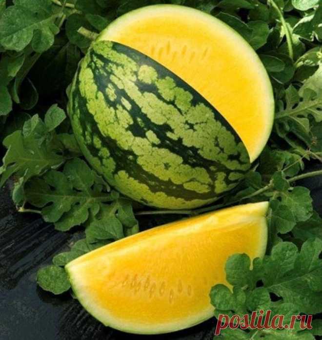 Редактировать описание