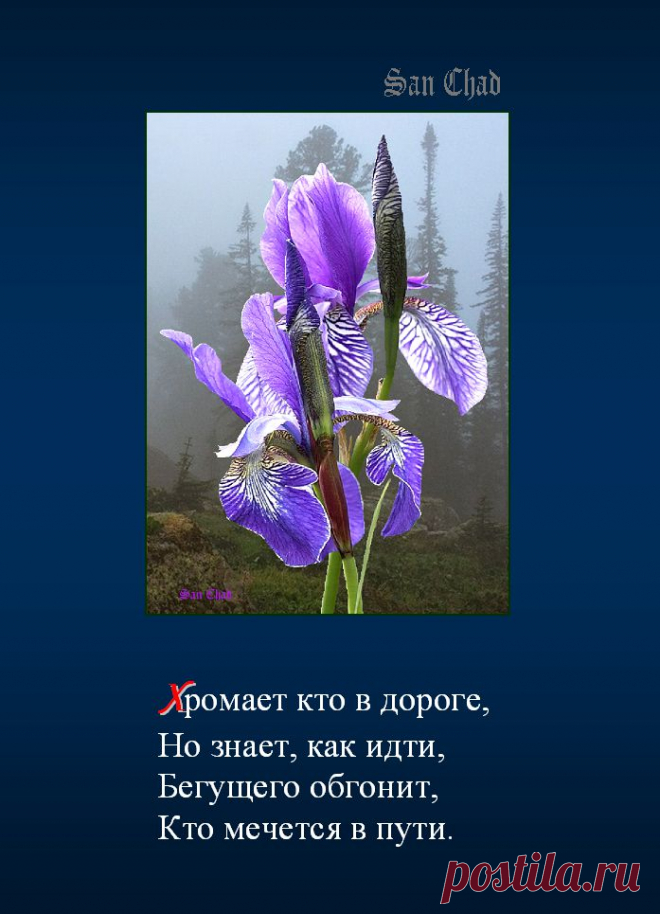 Софиты Сан Чада