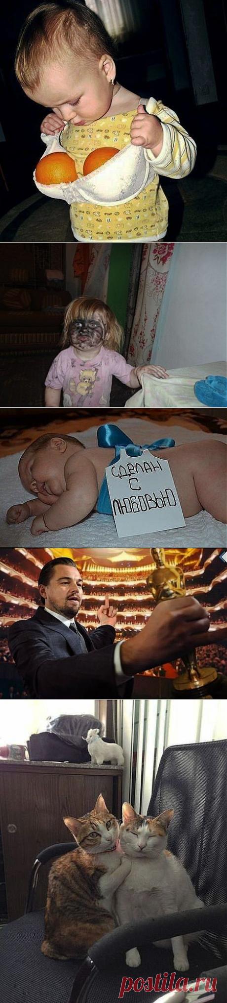 Смешные картинки / Писец - приколы интернета