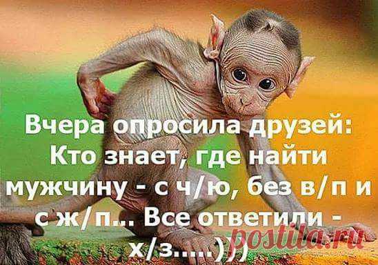 Смехопанорама