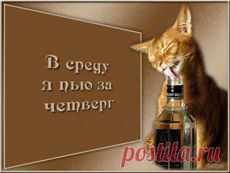 Доброе утро, среда!.