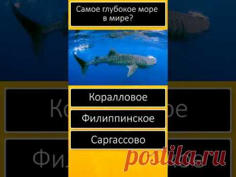 🌍 География 2024  👀 Тест по географии ОГЭ, ЕГЭ, ГИА #shorts