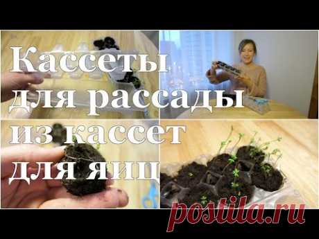 СУПЕР кассеты для РАССАДЫ своими руками! // DIY SUPER cassettes for seeds starting