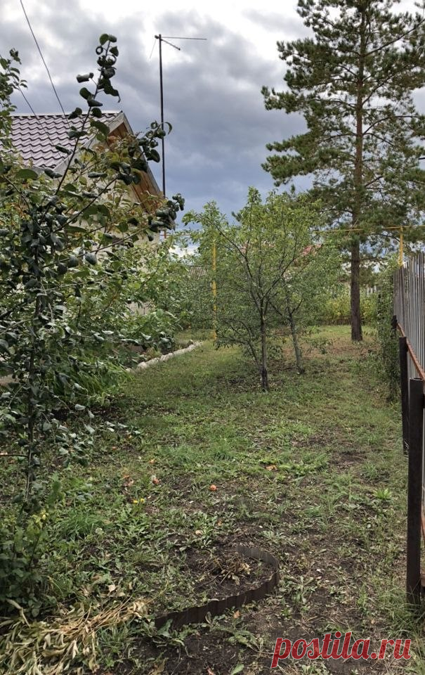 Продажа дома 85 м² на Ново-Садовой улице, 22 в селе Чубовка - МИР КВАРТИР, объявление 255770862