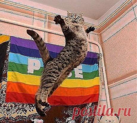 Душа болит.... И хочется арбуза... но впрочем, виски тоже подойдет... Меня сегодня посетила Муза....А может Шиза....кто их разберет....)))