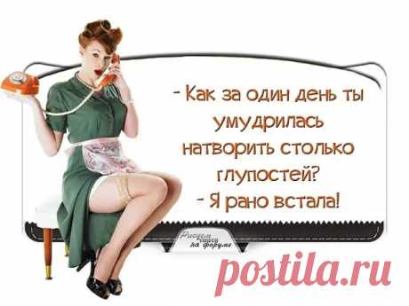 Многознайство уму не научит, но изрядно повеселит )) - медиаплатформа МирТесен