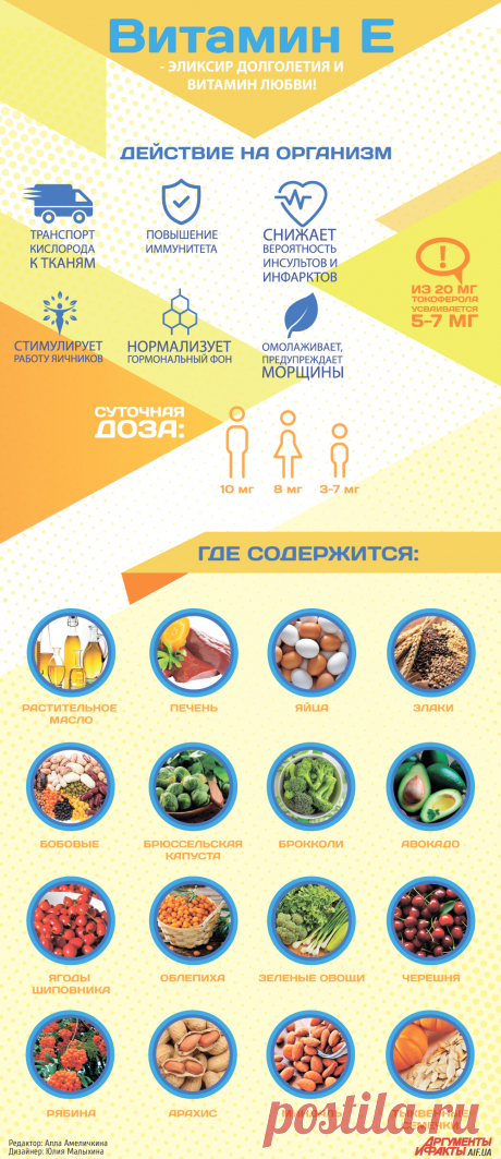 Витамин Е: молодость и красота или вред здоровью? | Инфографика | АиФ Украина