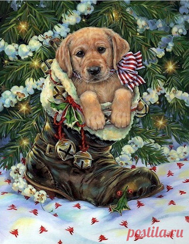 Мой Мир@Mail.Ru